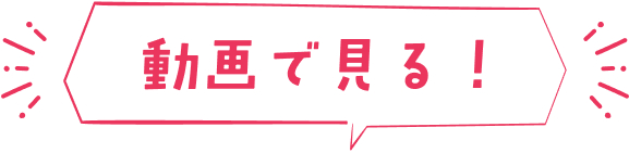 動画で見る