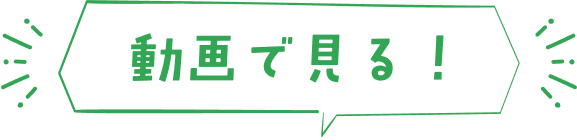 動画で見る